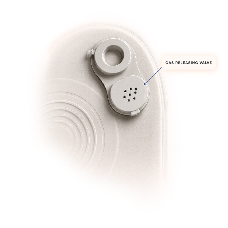 Gas Releasing Valve